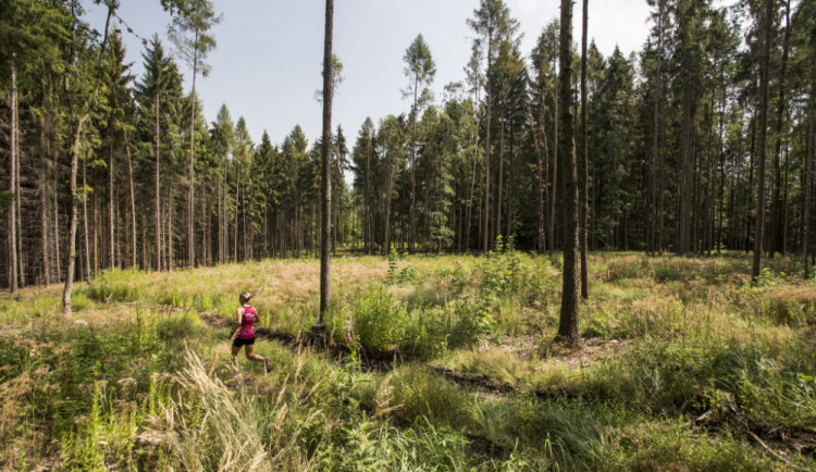 Nature run bude poprvé v Liberci.