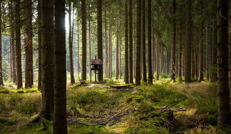 Ilustrační snímek