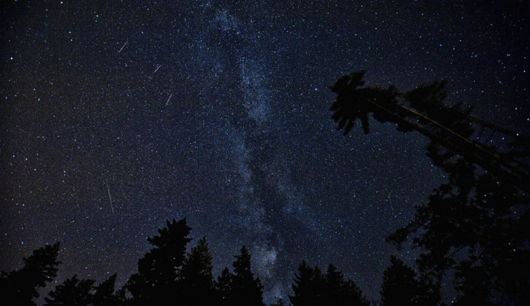 Ilustrační snímek