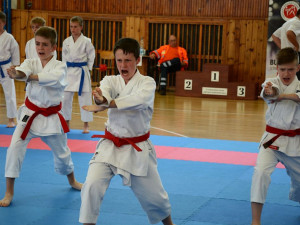 Gryf láká zájemce o karate. Startuje nábor 2018