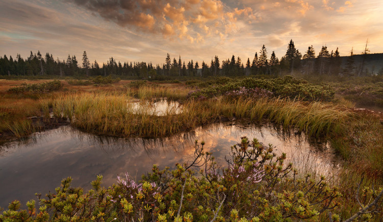 Ilustrační snímek