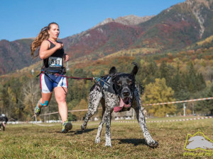 Snímek z ME v Itálii