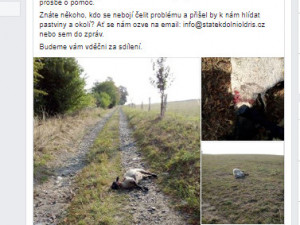 Příspěvek na facebooku