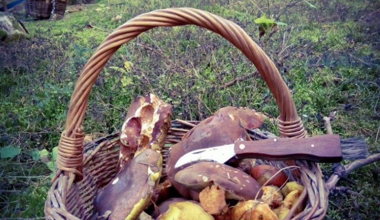 Ilustrační snímek