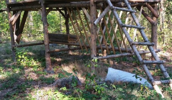 Kuriózní krádež na Novoborsku