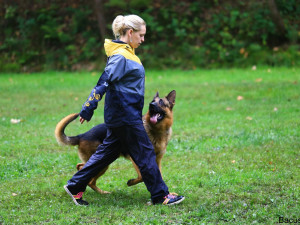 Kynologové zabojují v soutěži O Liberecký pohár