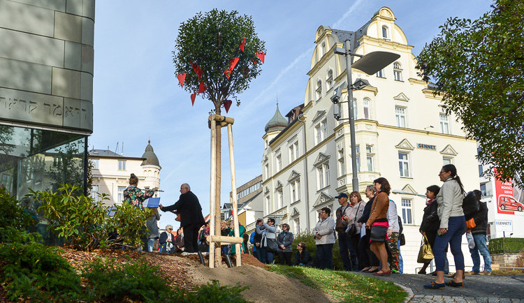 Strom Olgy Havlová.