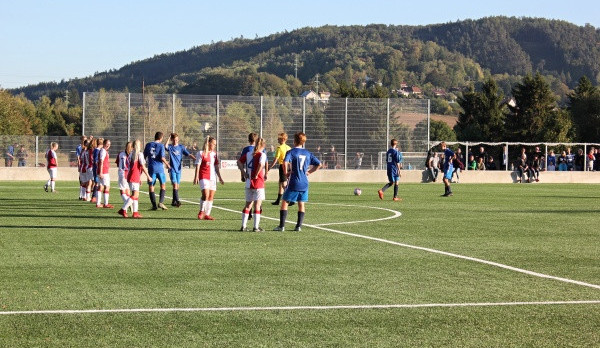 Snímek nového hřiště