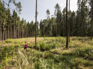 Liberec bude v neděli patřit běžcům. Nature Run přinese i omezení v dopravě
