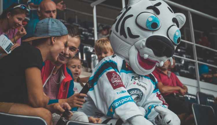 Najdou Tygři maskota?