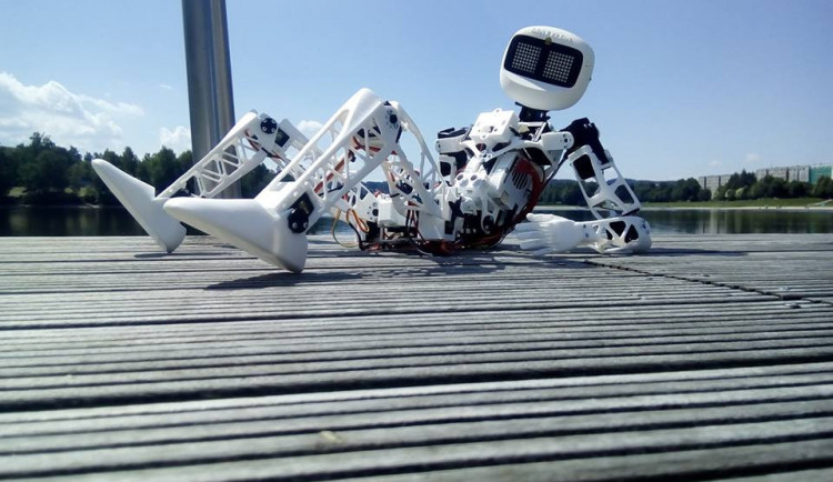 Takhle se Matylda před cestou sluní u přehrady.