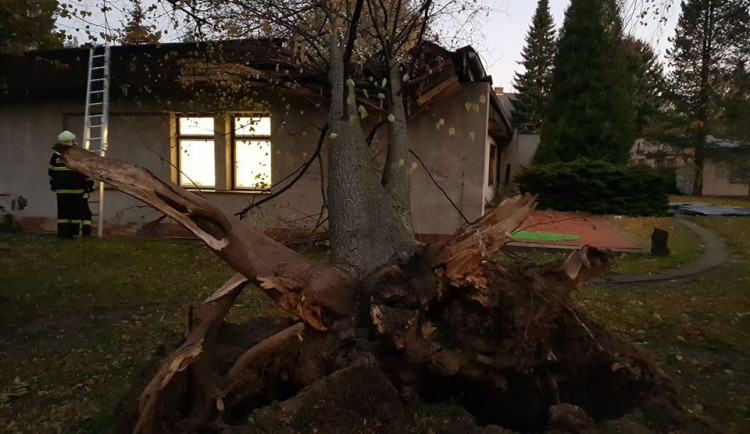 Strom spadl na školku v Hejnicích.