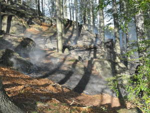 Snímek z požáru lesa u Raspenavy