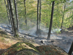 Snímek z požáru lesa u Raspenavy