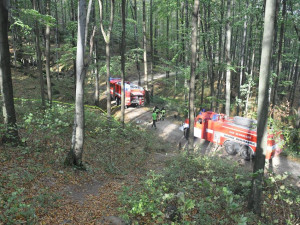 Snímek z požáru lesa u Raspenavy