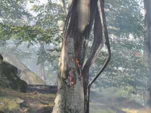Snímek z požáru lesa u Raspenavy