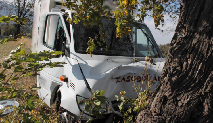 Dodávka narazila do stromu.
