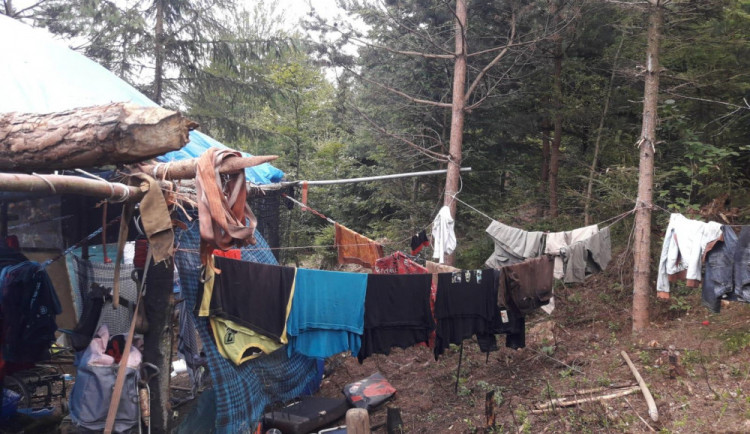 Takto žili lidé bez domova v prosečských lesích