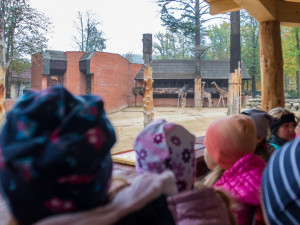 Zrekonstruovaná vyhlídka v liberecké zoo