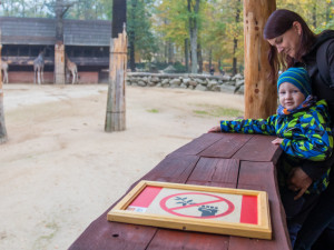 Zrekonstruovaná vyhlídka v liberecké zoo