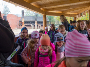 Zrekonstruovaná vyhlídka v liberecké zoo