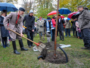 FOTO: Liberec sázení lípy spojil s uložením poselství o stavu města