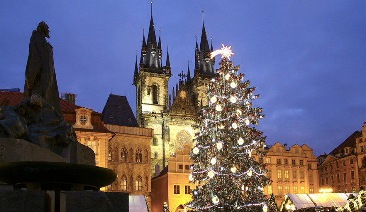 Praha už našla vánoční strom. Trhy na Staromáku ozdobí smrk z Rynoltic