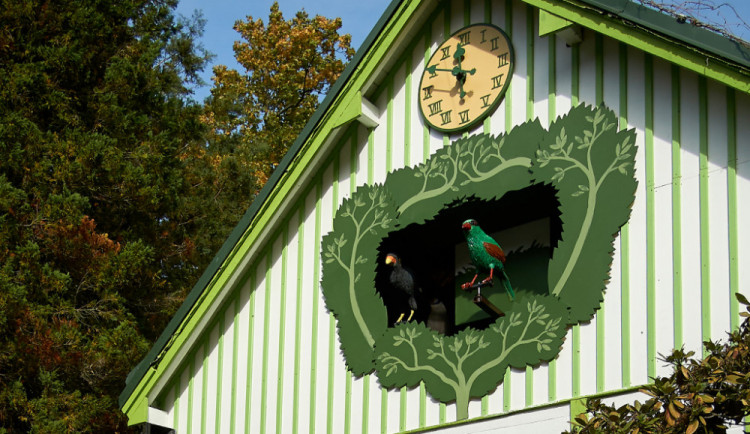 Nová atrakce v ZOO. V nejstarším domku v zahradě je ptačí orloj s ohroženými druhy