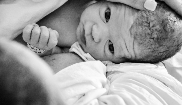 Ilustrační snímek