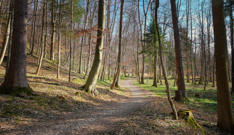 Ilustrační snímek