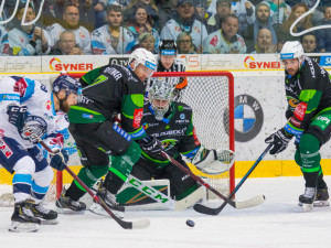 Tygři dnes oslavují, nad Energií K. Vary vyhráli 4:1.