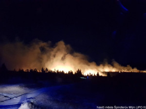Požár lesního porostu nedaleko Labské boudy asi zavinila nedbalost