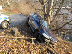 Řidička skončila s autem ve stromě, z místa jen tak odešla