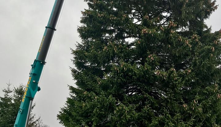 Strom pro Prahu je z Rynoltic