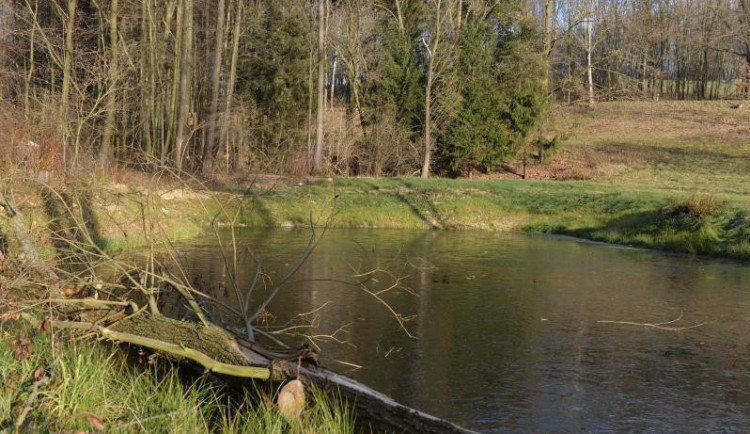 Podobné tůně vzniknou v Dolním Vítkově.