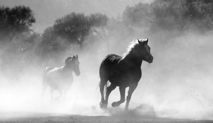 Ilustrační snímek