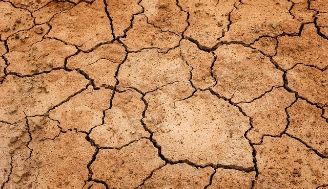 Ilustrační snímek