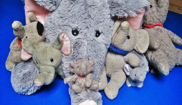 Vyberte si slona a podpořte Centrum Amelie, které pomáhá lidem s rakovinou