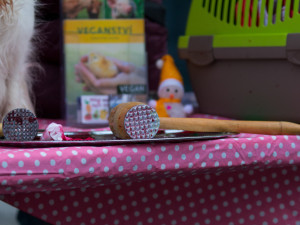 Prodej vánočních psů v centru Liberce poukazuje na masakr v podobě prodeje kaprů