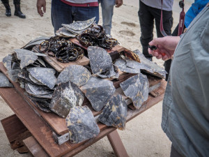 Ničení zabaveného zboží