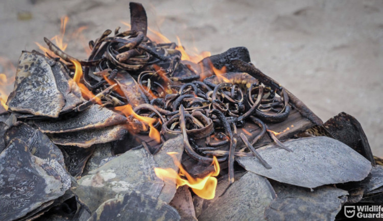 Ničení zabaveného zboží