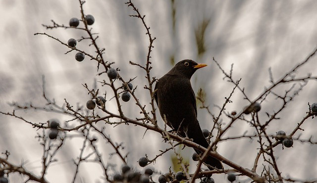 Ilustrační snímek