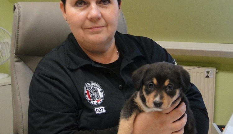 Fenka Tara našla nový domov u strážnice Lucie.