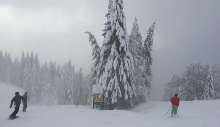 Lyžování v Rokytnici