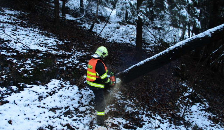 Hasiči zasahují u popadaných stromů