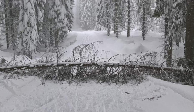 Stromy padají i v Jizerkách a ohrožují tak lyžaře