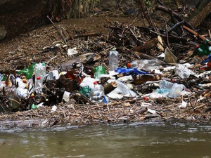 Řeka Kamenice zaplněná plasty