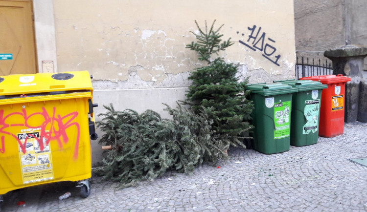 Žhář zapálil vyhozené vánoční stromky. Na kontejneru vznikla škoda za deset tisíc korun