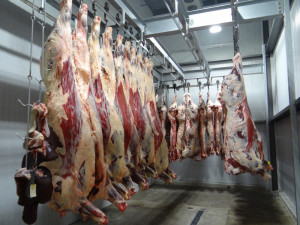 Na hranicích začaly speciální silniční kontroly zaměřené na dovoz masa z Polska