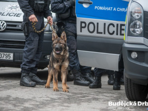 Ze staveniště si zloděj odnesl světlo, topení a nepohrdl ani kabelem